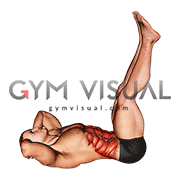 Lying Crunch (straight legs) (male)