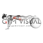 Pull In (on stability ball) (female)
