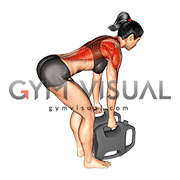 Bottle Weighted Bent Over Row (female)
