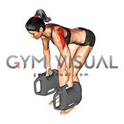 Bottle Weighted Bent Over Reverse Fly (female)