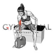 Bottle Weighted Concentration Curl (female)
