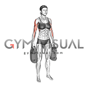 Bottle Weighted Armpit Row (female)