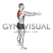 Bodyweight Standing Scapula Row (male)