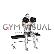 Dumbbell Seated Reverse Arnold Press (male)