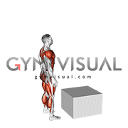 Jump Box (male)