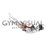 Lying Scissors Cross (female)