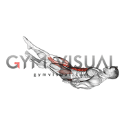 Lying Scissors Cross (male)