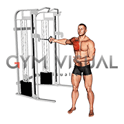 Cable Standing Single Arm Fly