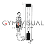 Cable Standing Wrist Reverse Curl