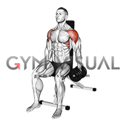 Dumbbell Seated Lateral Raise (VERSION 2)