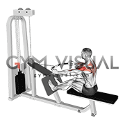 Cable Rear Delt Row (parallel bar)