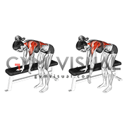 Bent Over Shoulder Pendulum (female)