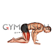 Yoga Vajrasana Thunderbolt Diamond Pose (male)