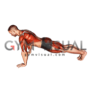 Push-up Pull (male)