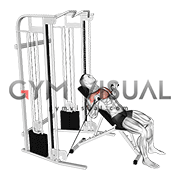 Cable Incline Bench Press
