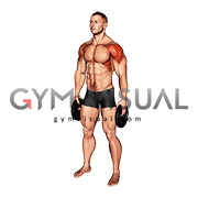 Weighted Plate Standing Lateral Raise (male)