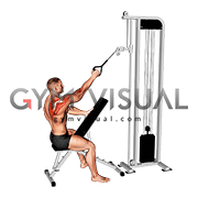 One arm sale high cable row