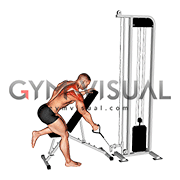 Cable Single Arm Low Scapular Row