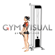 Cable Front Raise (rope attachment) (female)