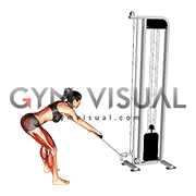 Cable Romanian Deadlift (female)