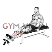 Weighted Plate Tibialis Anterior Curl (male)
