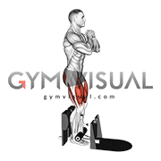 Bodyweight Supported Squat (male)