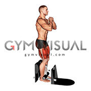 Bodyweight Supported Squat (male)