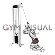 Cable Kneeling Side Crunch (male)