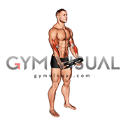 Weighted Plate Standing Biceps Curl (male)