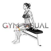 Resistance Band Seated Hip Abduction (VERSION 2) (female)