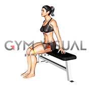 Seated booty band exercises hotsell
