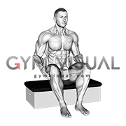 Roll Ball Seated Pectineus Activation (male)