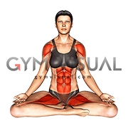 Sitting Yoga Pose Siddhasana (female)