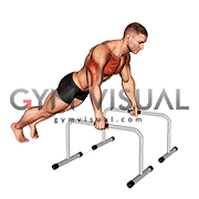 Deep Push-up on Parallel Bars (male)