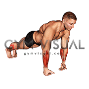 Wrist Push-up (male)