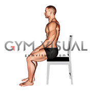 Sitting Scapular Adduction (male)
