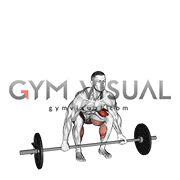 Barbell Mixed grip Deadlift (male)
