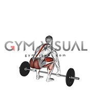 Barbell Hook grip Deadlift (male)