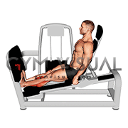 Lever Seated Calf Press (VERSION 2) (male)