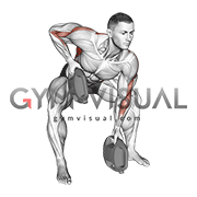 Bottle Weighted Gorilla Row (male)