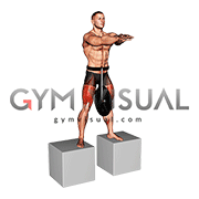 Weighted Full Squat from Deficit (male)