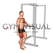 Bodyweight Single Leg Squat with Support (male)
