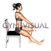 Seated Hamstring Stretch with Chair (female)