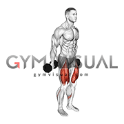 Dumbbell hack squat outlet