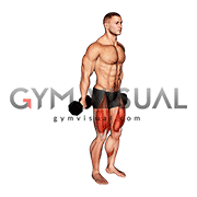 Dumbbell Hack Squat
