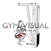 Cable Front Squat with V bar