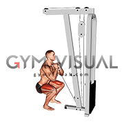 Cable sumo 2025 squat