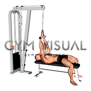 Cable Lying Face Pull (male)