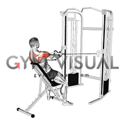 Cable Incline Rear Delt Fly with Back Support (male)