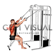Cable High Row with Chest Support